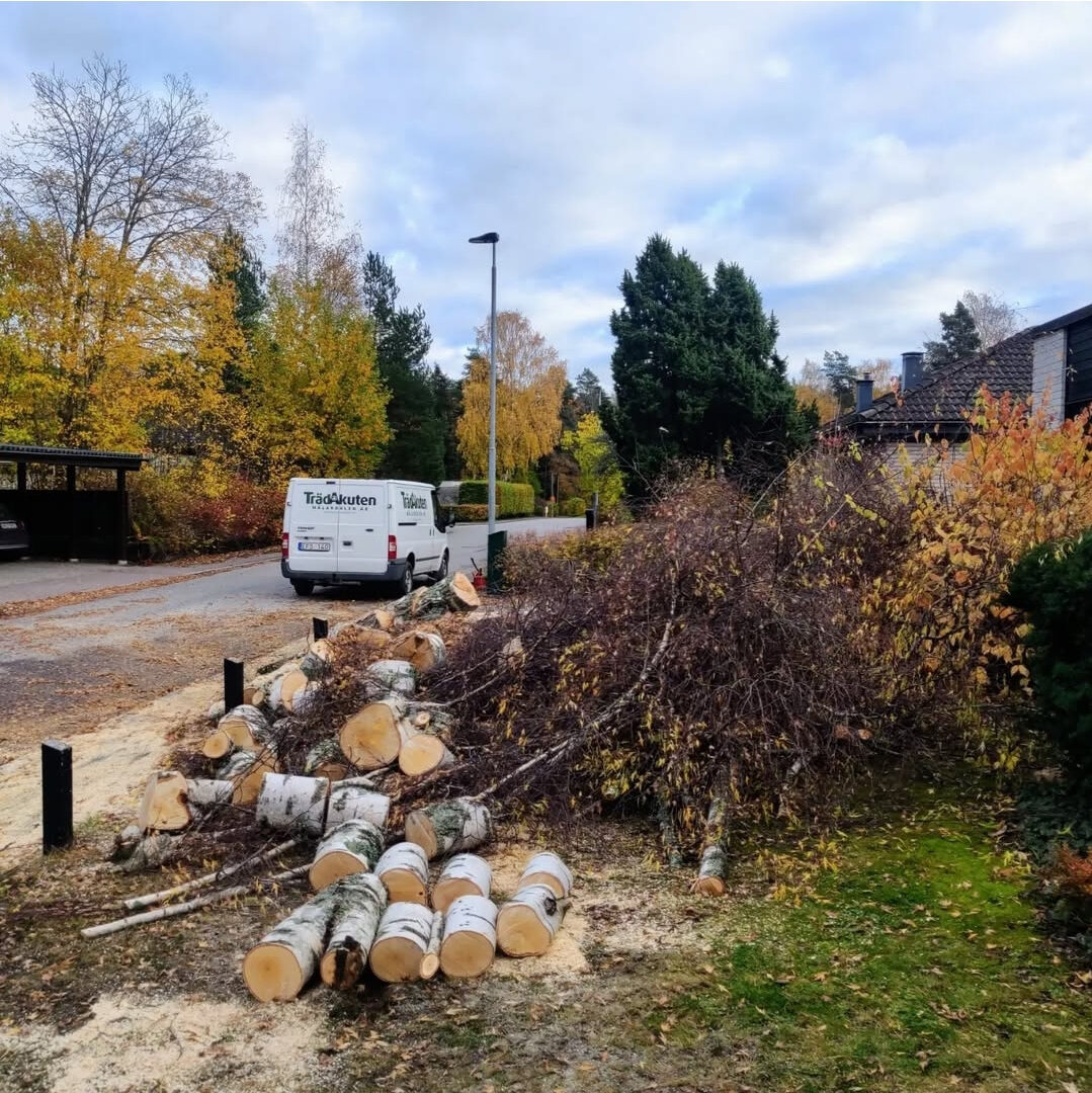 Bortforsling av trädavfall i Strängnäs