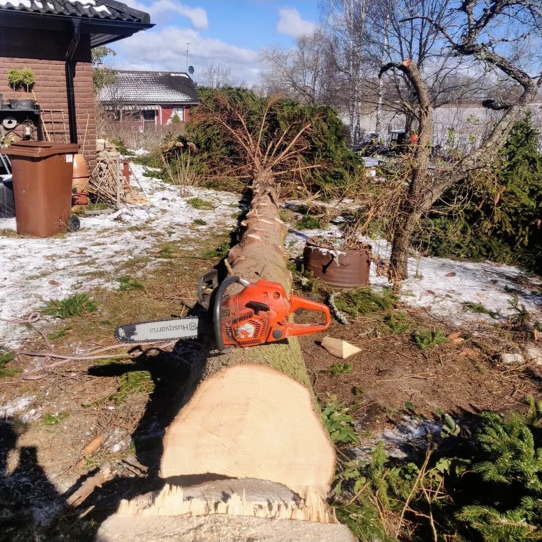 Stubbfräsning i Strängnäs